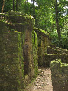 Palenque Temple