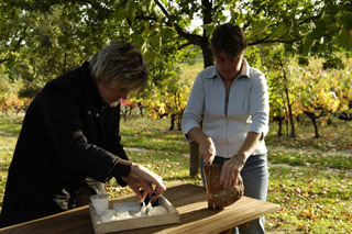 Cheese tasting