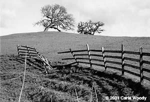 CA fence photo